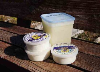 Preserving Milk: How to Balance Dairy Production Year-Round Image